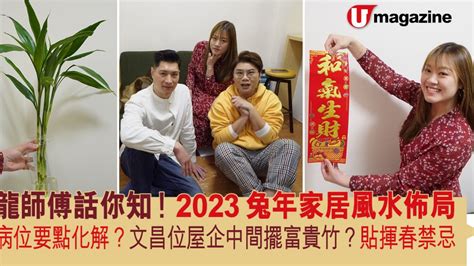 動水擺設|2023兔年家居風水佈局 龍師傅話你知！ 旺桃花、財運擺啲乜？雙。